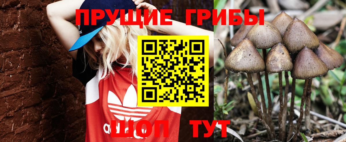 Псилоцибиновые грибы ЛСД  Вход с VPN  Псилоцибиновые грибы Magic Shrooms  Горячий Ключ 