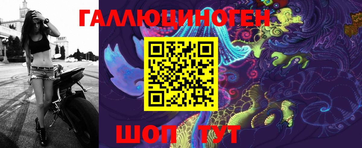 Галлюциногенные грибы мухоморы Горячий Ключ